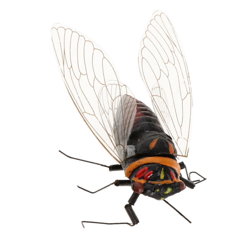 2X Clay Insect Model Fridge Ma - Art Craft Magnet review and price