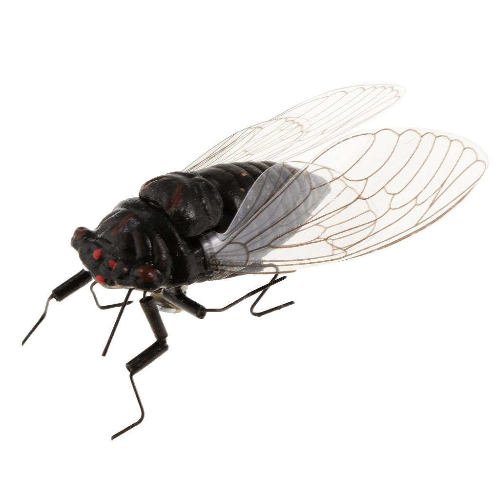 2X Clay Insect Model Fridge Ma - Art Craft Magnet review and price