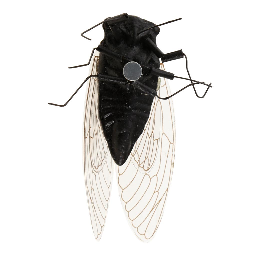 2X Clay Insect Model Fridge Ma - Art Craft Magnet review and price