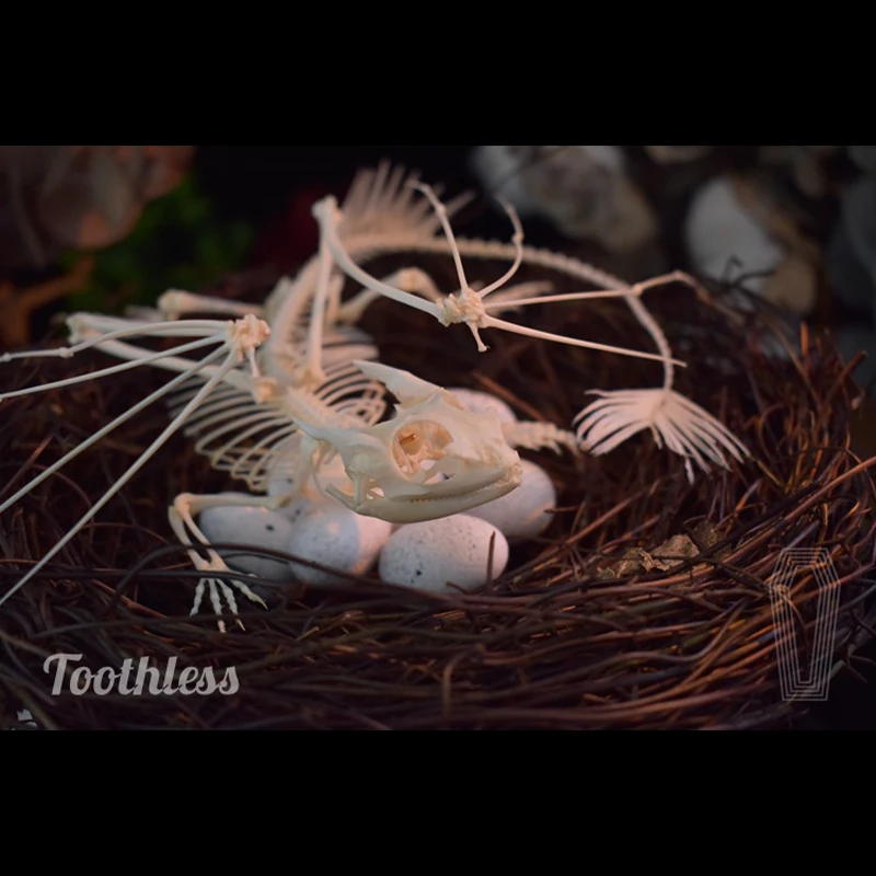 2125 Toothless Dragon Skeleton - Art And Craft Science review and price